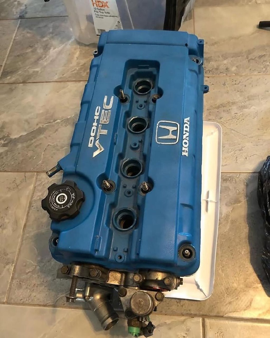 photo_5215564717123301331_y